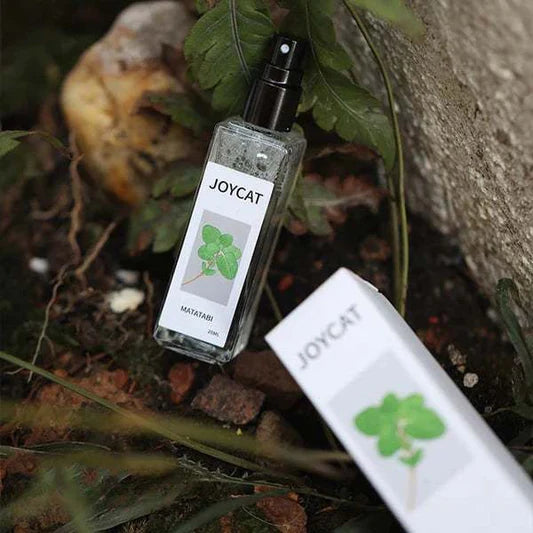 Joycat - Naturlig spray av sølvvin for katter