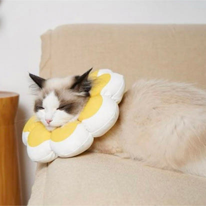 Flowerheal - Mjuk tratt för läkning