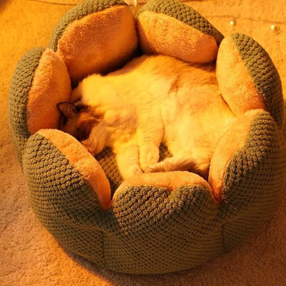 Blomsterbed - Mjuk rymlig kattsäng