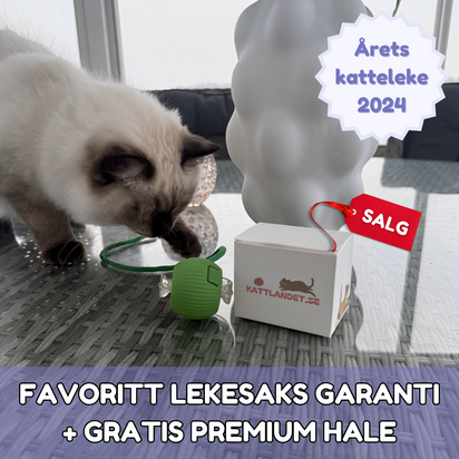SmartHunt™ - Smart, selvgående og ble årets katteleke i 2024