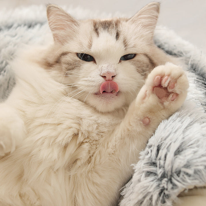 Flyffycave - Varm mjuk kattkoja 