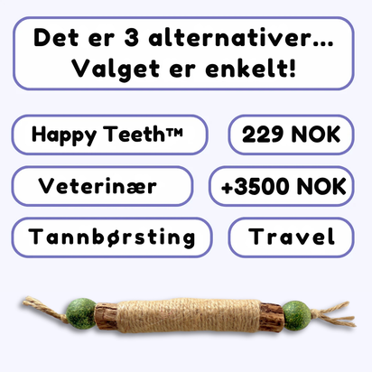 HappyTeeth™ - Rengjør tennene på sekunder med morsom lek (4-pakning)