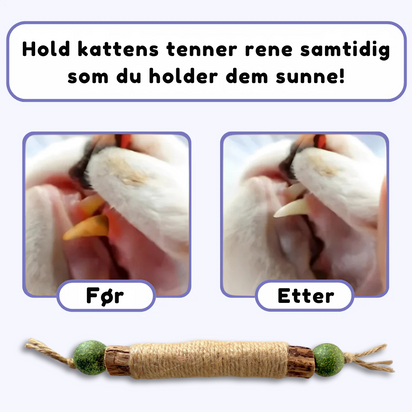 HappyTeeth™ - Rengjør tennene på sekunder med morsom lek (4-pakning)