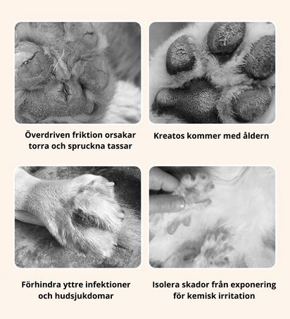 Potebalsam - Återfuktande tass-salva