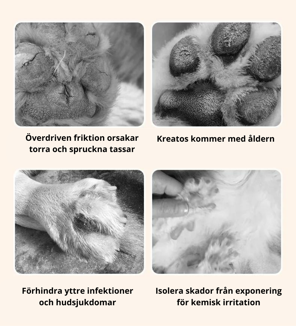 Potebalsam - Återfuktande tass-salva