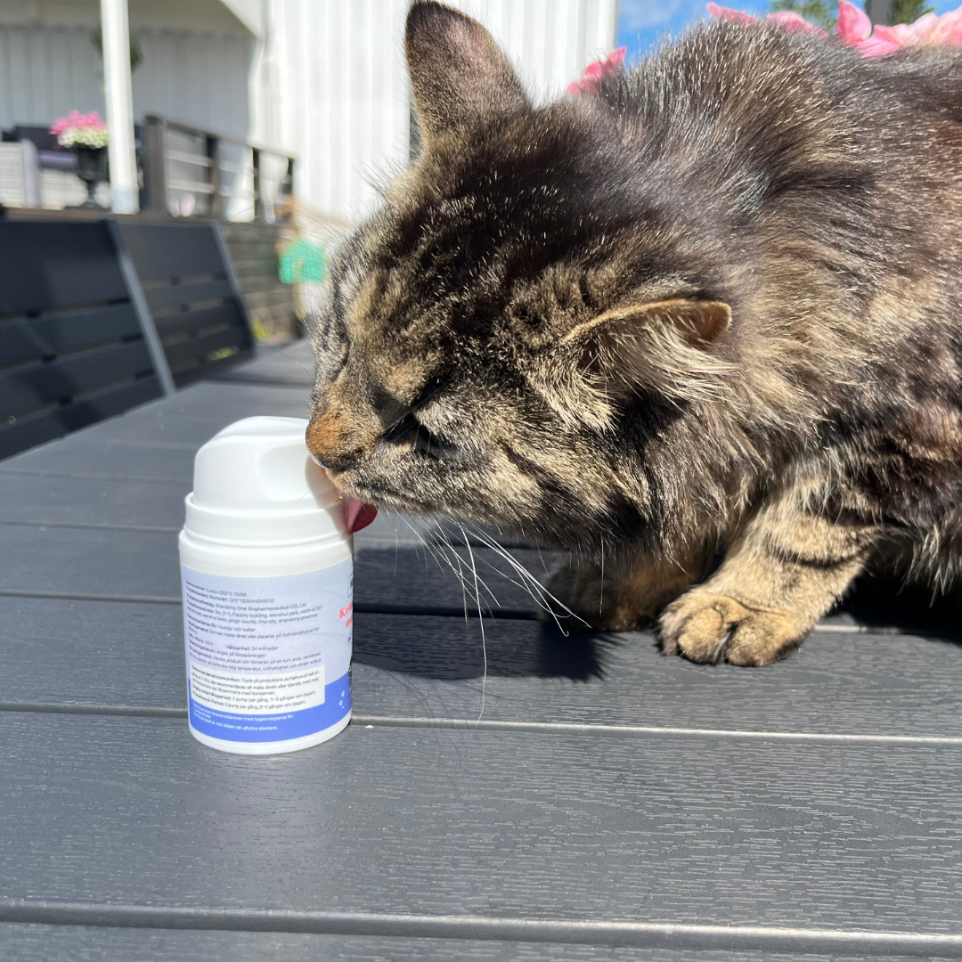 Happycream™ - Krämig fiskolja for katt