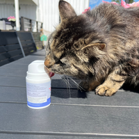 Happycream™ - Krämig fiskolja for katt