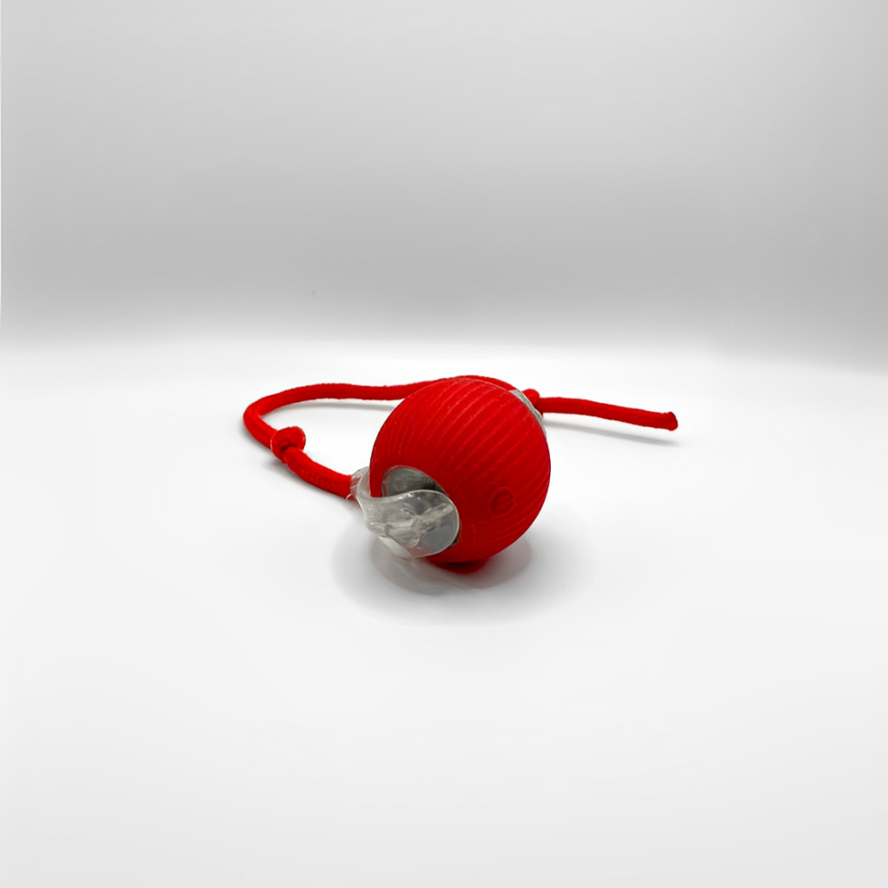 SmartHunt™ - Smart, selvgående og ble årets katteleke i 2024