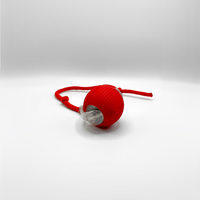 SmartHunt™ - Smart, selvgående og ble årets katteleke i 2024