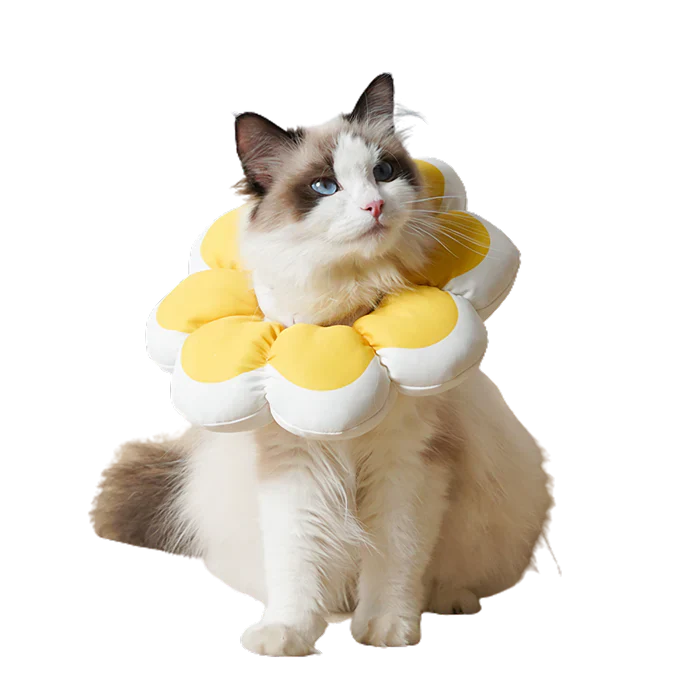 Flowerheal - Mjuk tratt för läkning