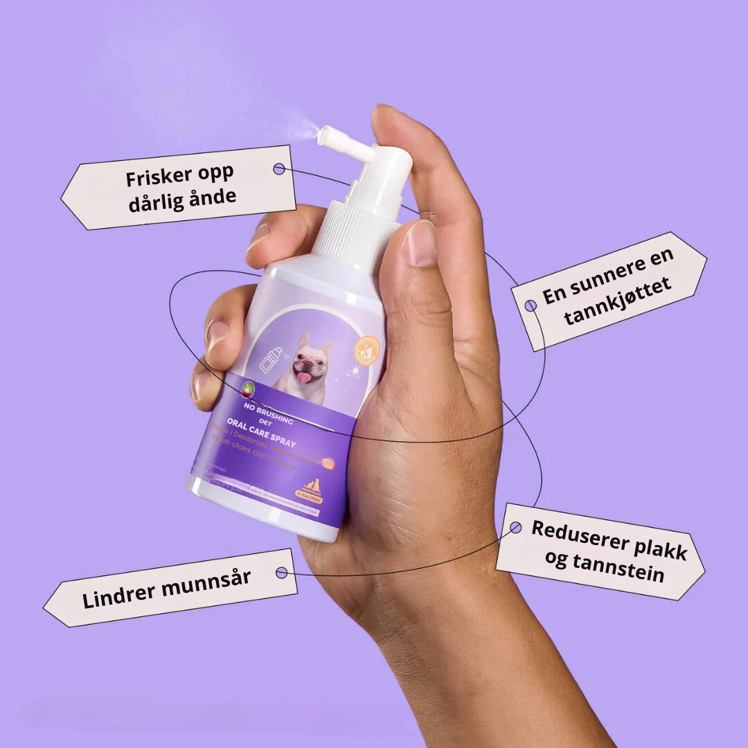 Smilegood - Hold kattens tenner rene uten å børste