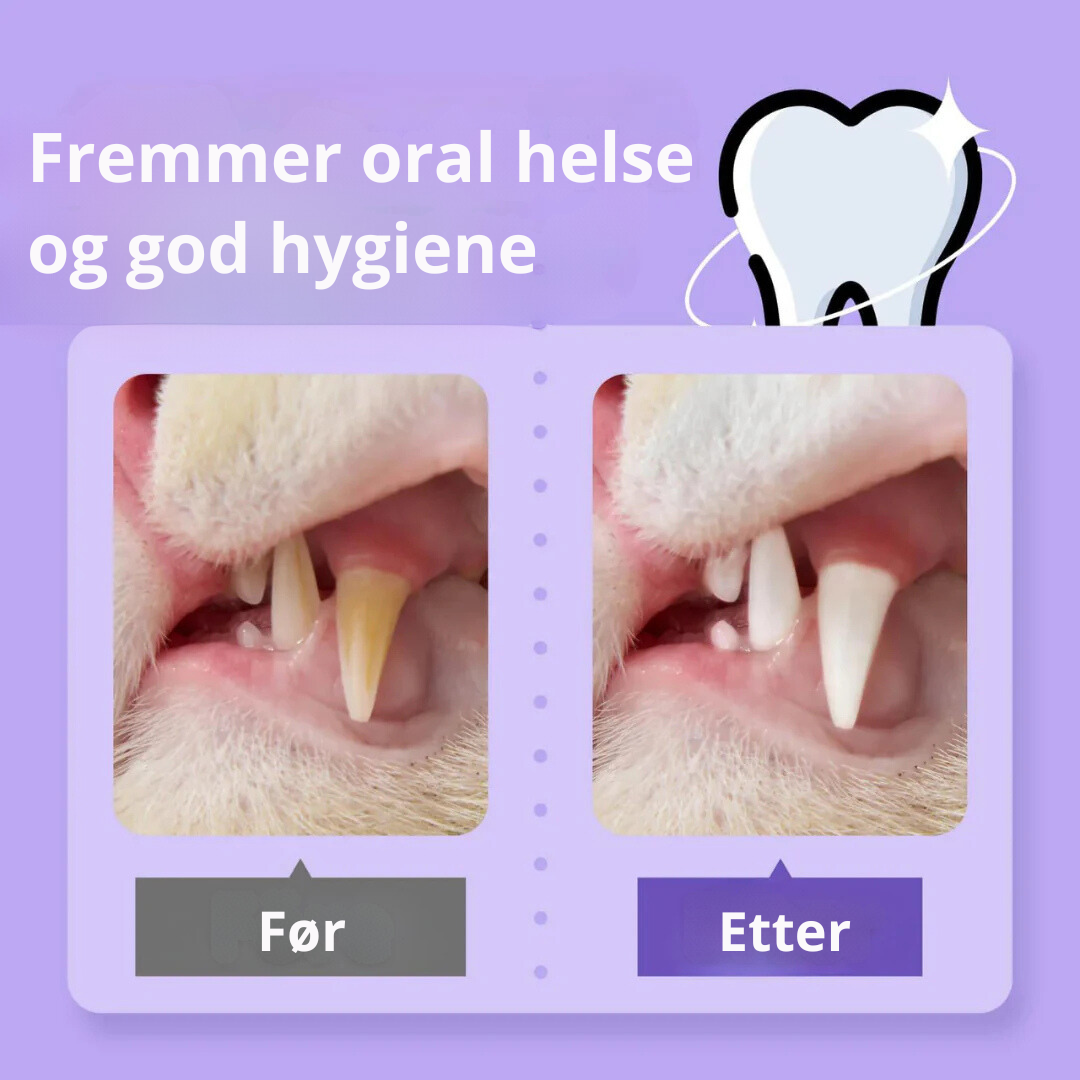 Smilegood - Hold kattens tenner rene uten å børste