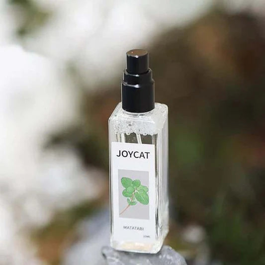 Joycat - Naturlig spray av sølvvin for katter